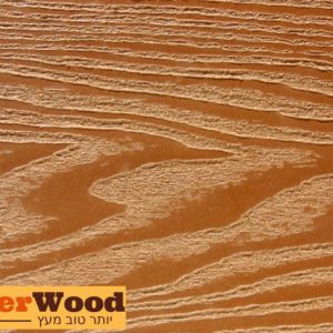 004 טיק מובלט