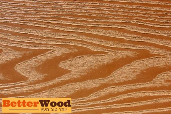 004 טיק מובלט